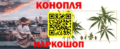 дмт Кимры